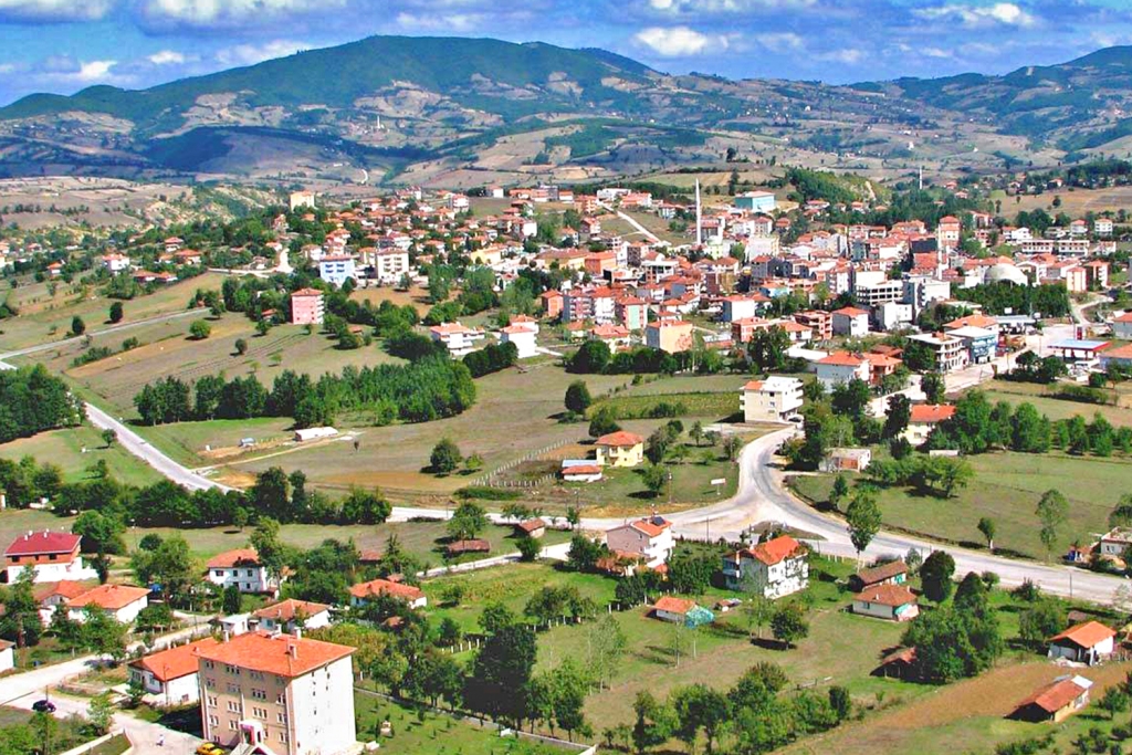 Asarcık Evden Eve Nakliyat